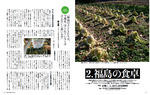3月号白菜 福島の食卓.jpg